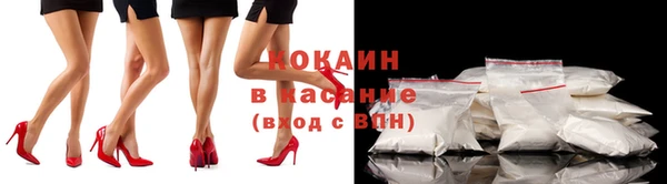 амф Арсеньев