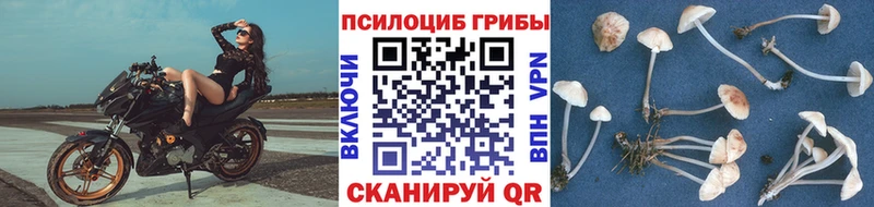 Галлюциногенные грибы ЛСД закладка Радужный